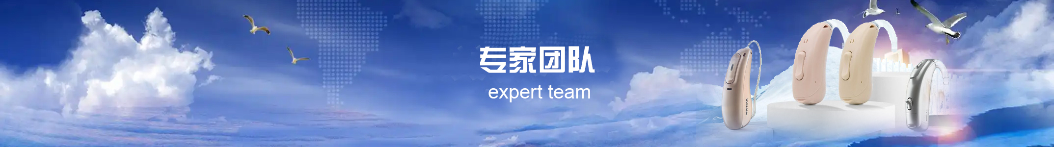 专家团队